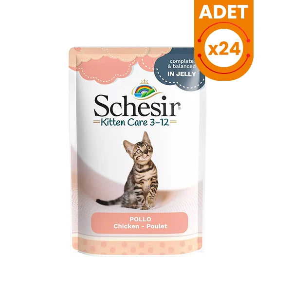 Schesir Kitten Tavuklu Konserve Yavru Kedi Maması