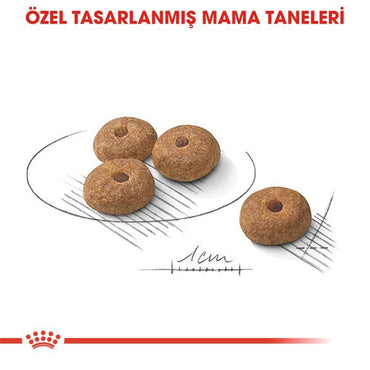 Royal Canin Mini Sterilised Yetişkin Kısırlaştırılmış Köpek Maması