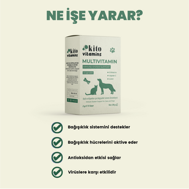 Multivitamin Ne İşe Yarar