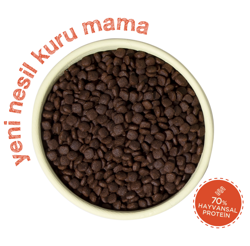 Mini Irk Köpek Maması