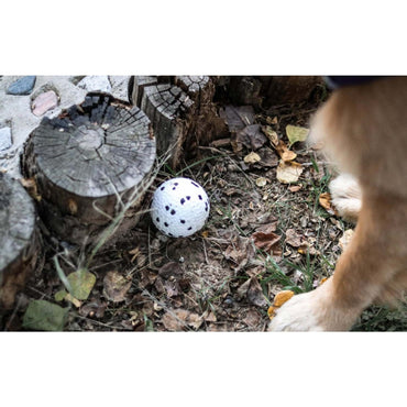 M-Pets Bloom Ball Parçalanmaz Top Köpek Oyuncağı