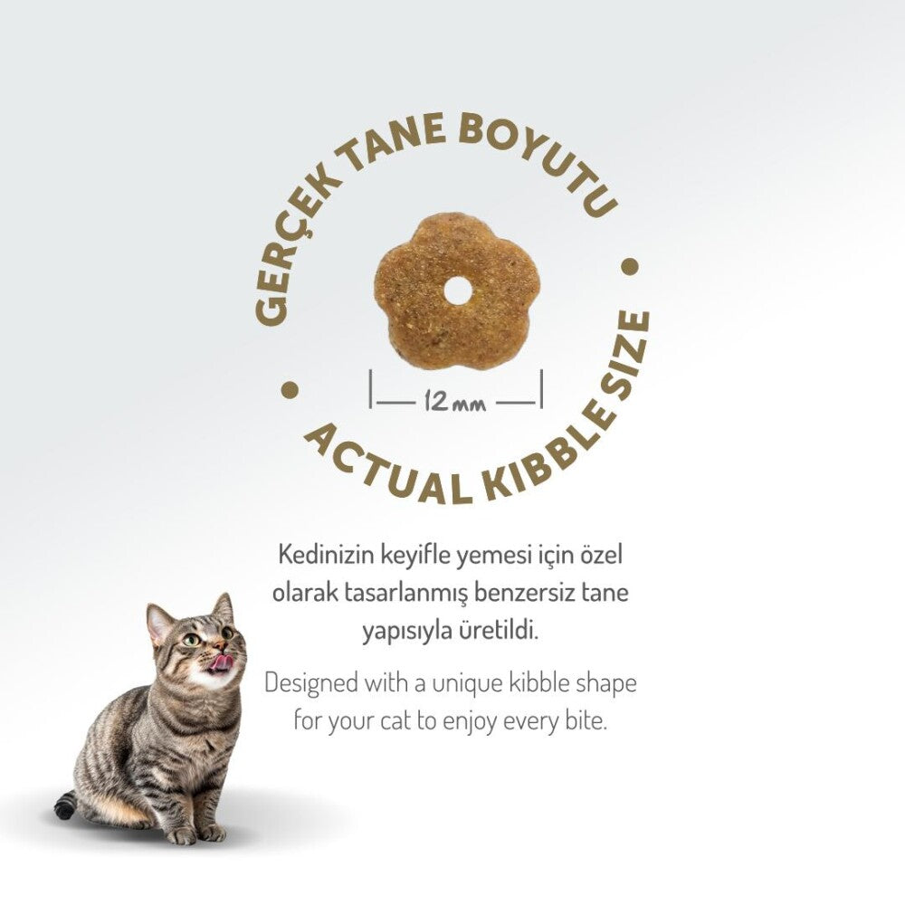 Felicia Tavuklu Az Tahıllı Hypoallergenic Yetişkin Kedi Maması 2 KG | SRC: Barcode: 8681299601288