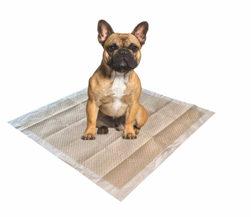 M-pets Eco Bamboo Köpek Çiş Eğitim Pedi 60X60 CM 50 ADET | SRC: Barcode: 6953182739296