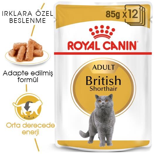 Royal Canin British Shorthair Pouch Yetişkin Kedi Konservesi 85 GR | SRC: Barcode: 9003579001257