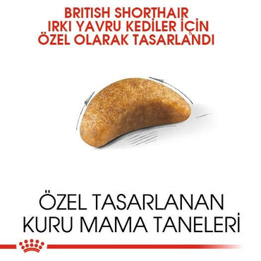 Royal Canin British Shorthair İçin Özel Yavru Kedi Maması 2 KG | SRC: Barcode: 3182550816533