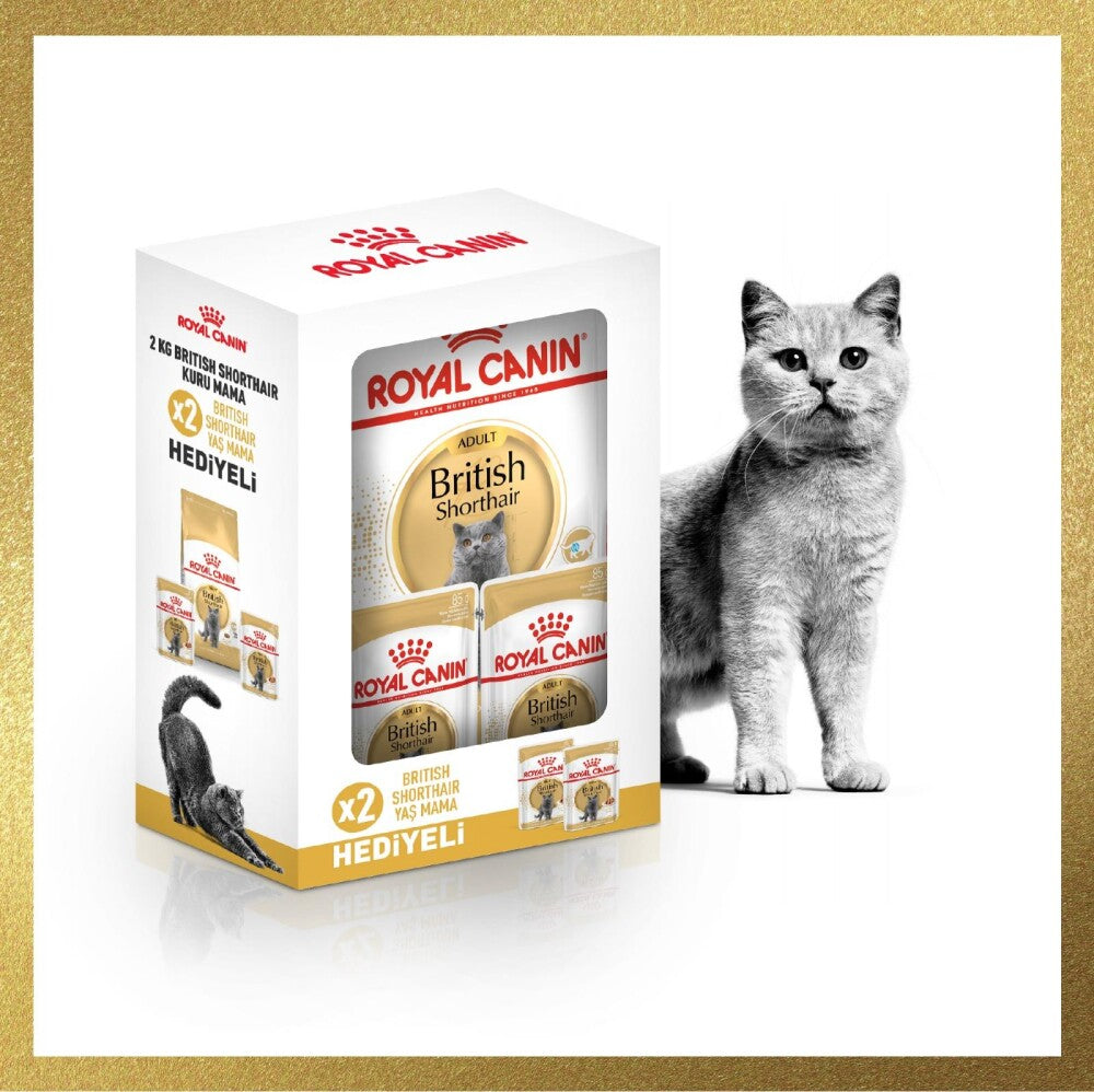 Royal Canin British Shorthair İçin Özel Irk Yetişkin Kedi Maması Pouch Hediyeli 2 KG 2 ADET | SRC: Barcode: 10275