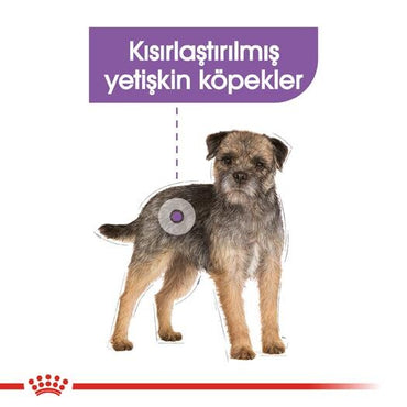 Royal Canin Ccn Kısırlaştırılmış Mini Irk Yetişkin Köpek Maması 3 KG | SRC: Barcode: 3182550894128