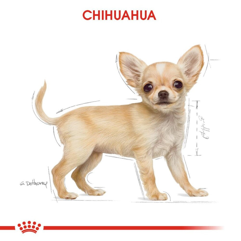 Royal Canin Chihuahua Yavru Köpek Maması 1.5 KG | SRC: Barcode: 3182550722544