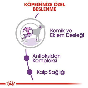 Royal Canin Giant Dev Irk Yetişkin Köpek Maması 15 KG | SRC: Barcode: 3182550703079