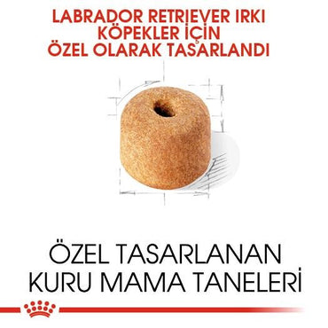 Royal Canin Labrador Retriever Yetişkin Köpek Maması 12 KG | SRC: Barcode: 3182550715645