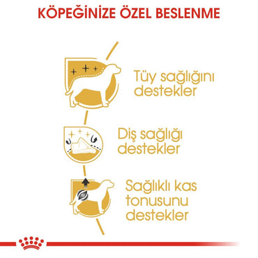 Royal Canin Poodle Yetişkin Köpek Maması 3 KG | SRC: Barcode: 3182550867719