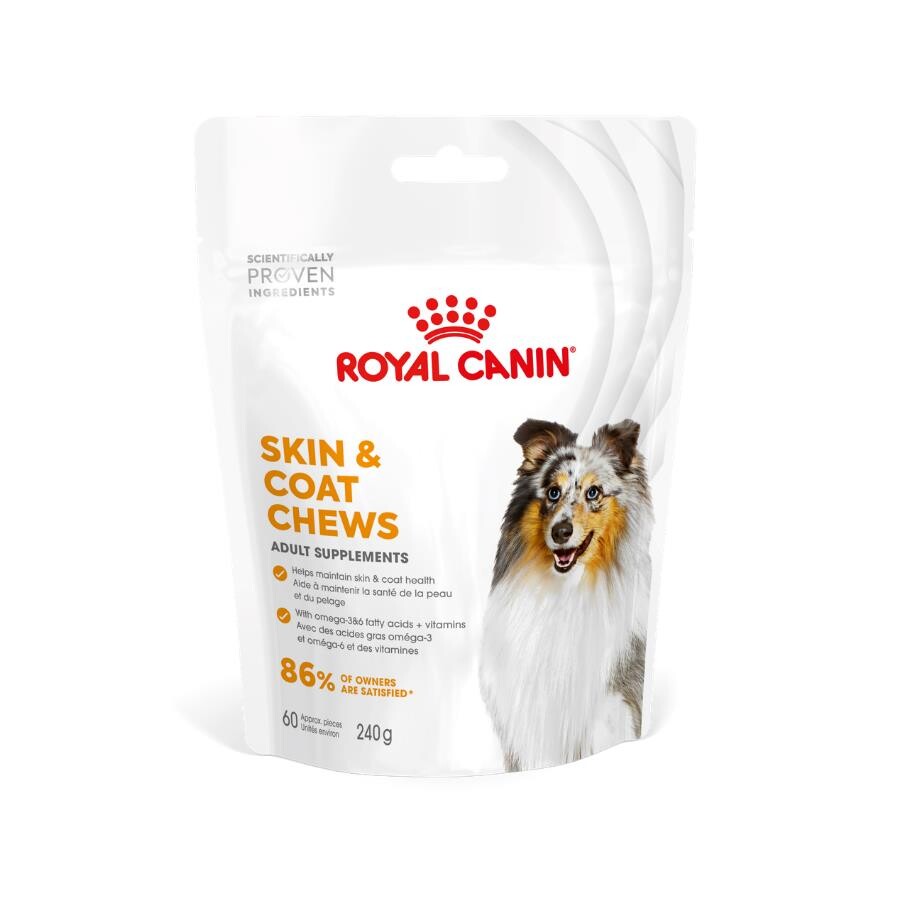 Royal Canin Yetişkin Köpekler İçin Deri Ve Tüy Sağlığını Destekleyen Tamamlayıcı Ödül Maması 240 GR | SRC: Barcode: 3182551063622