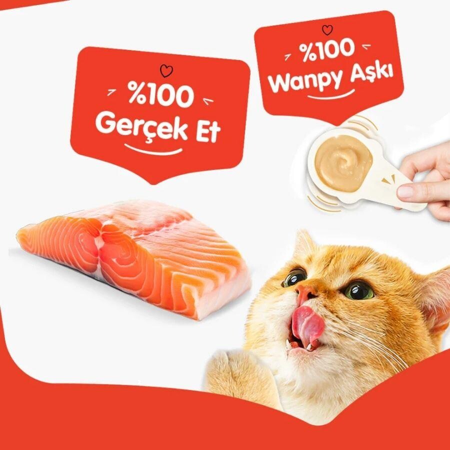 Wanpy Somonlu Kaşık Krema Kedi Ödül Maması 10X16 GR | SRC: Barcode: 6927749871927
