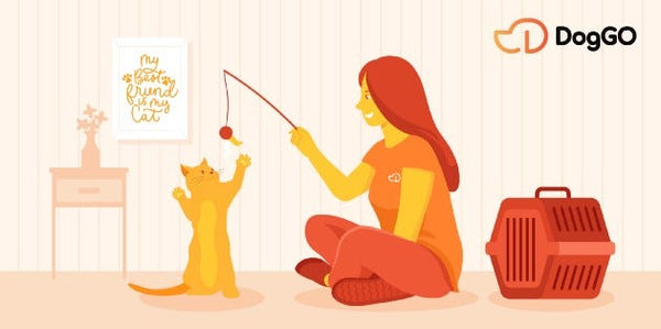 DogGO App Rehberi: Bakım Hizmeti Nasıl Alınır?