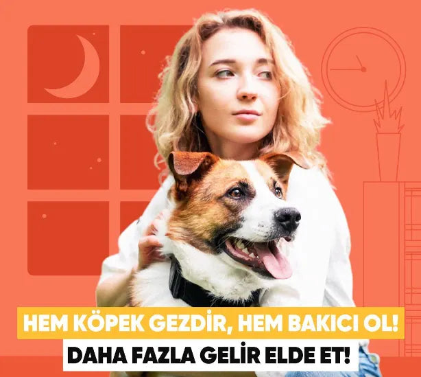 Nasıl DogGO Bakıcısı Olunur?
