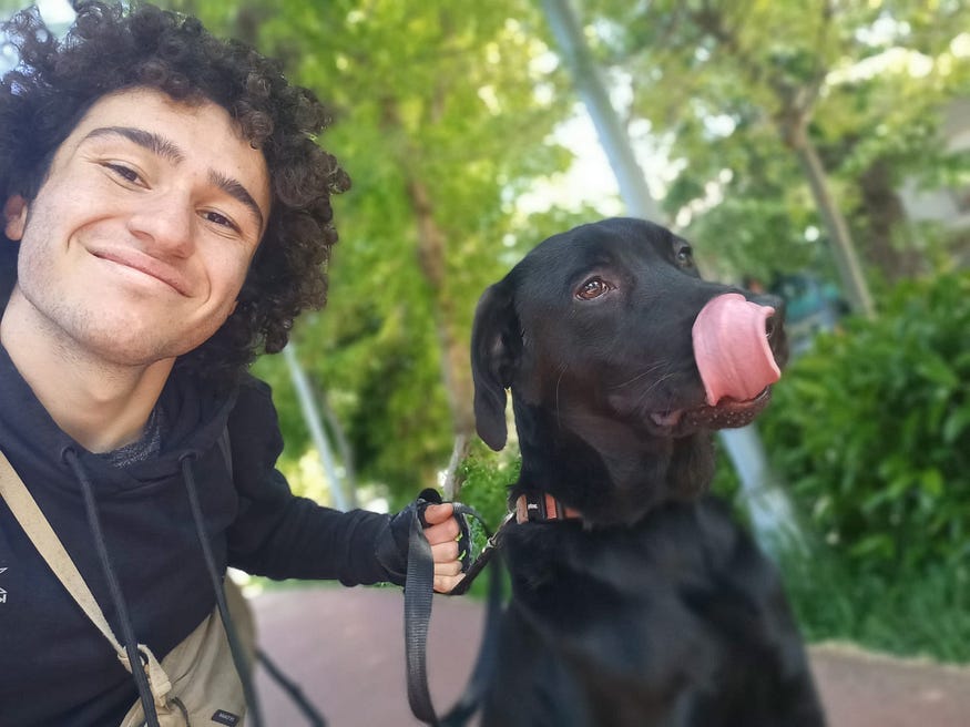 Bir DogGO Walker’ın Günü Nasıl Geçer?