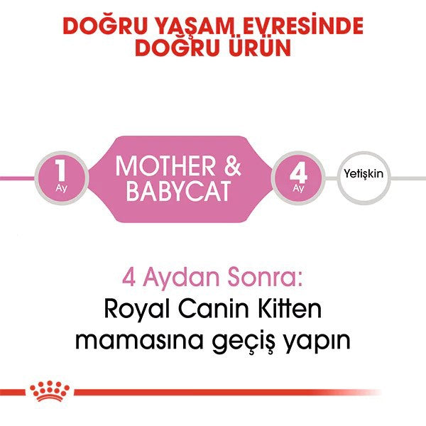 Royal Canin Mother Babycat Anne ve Yavru Kedi Maması