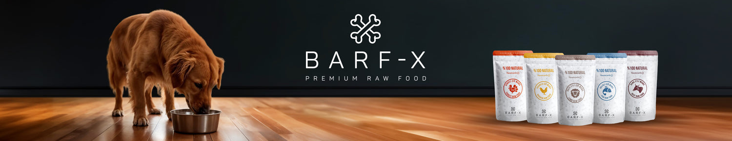 BARF-X Premium Raw Food ürünleri DogGO Shop'ta | SRC: Collection Desktop Banner