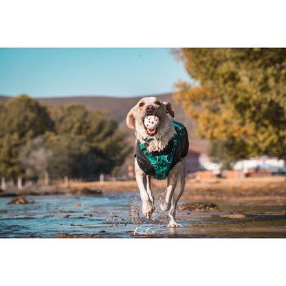 M-Pets Bloom Ball Parçalanmaz Top Köpek Oyuncağı