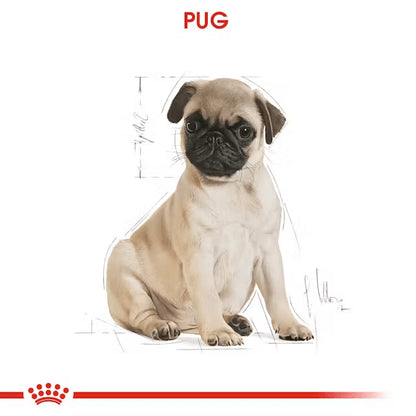 Royal Canin Pug Junior Yavru Köpek Maması