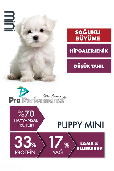 Pro Performance Kuzu Etli ve Yaban Mersinli Küçük Irk Yavru Köpek Maması