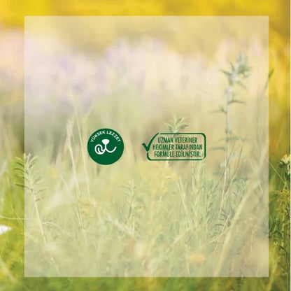 Rico Tavuklu Yavru Kedi Maması