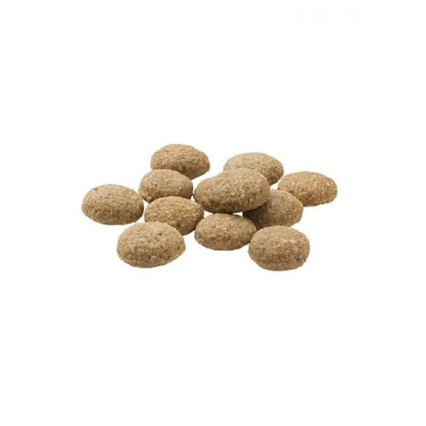 Mera Insect Larva Proteinli Tahılsız Yetişkin Köpek Maması