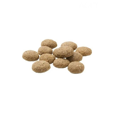 Mera Insect Larva Proteinli Tahılsız Yetişkin Köpek Maması