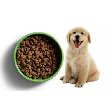 Brit Veterinary Diet Joint Mobility Ringa Balıklı Tahılsız Köpek Maması