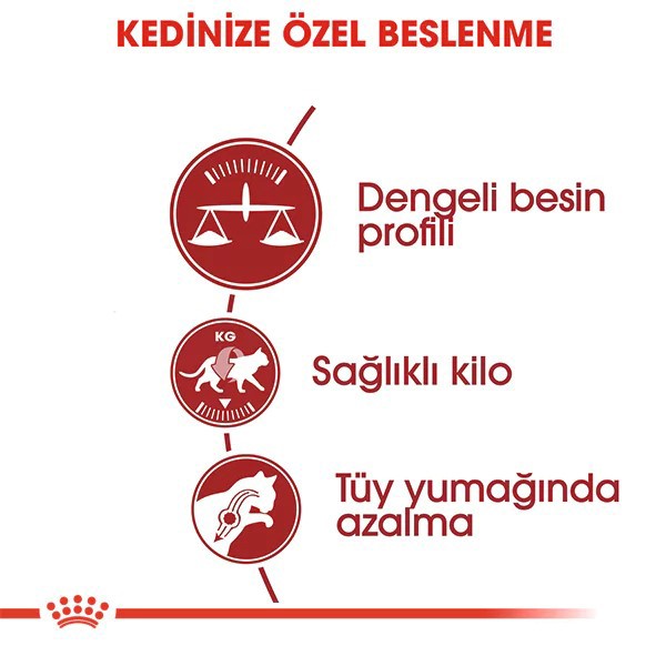 Royal Canin Fit 32 Yetişkin Kedi Maması