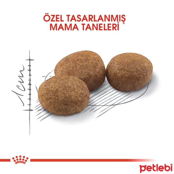 Royal Canin Sterilised Yetişkin Kısırlaştırılmış Kedi Maması