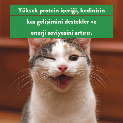 Hindi Göğüs Ödül Maması