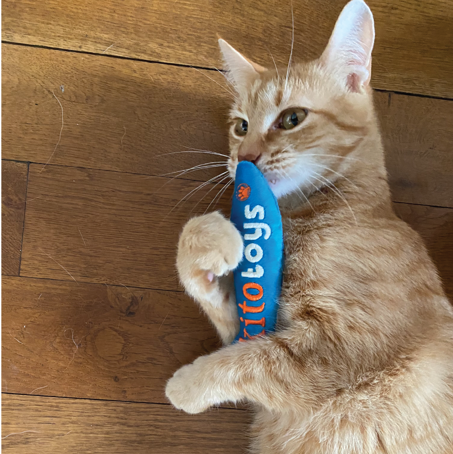 Balık Peluş Kedi Oyuncağı