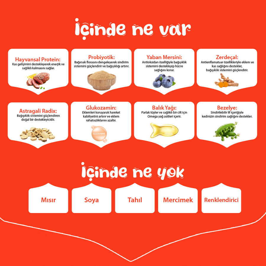 Wanpy Ördekli Tahılsız Yetişkin Köpek Maması