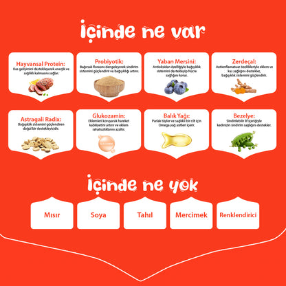 Wanpy Ördekli Tahılsız Yetişkin Köpek Maması