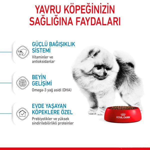 Royal Canin Mini İndoor Puppy Yavru Köpek Maması