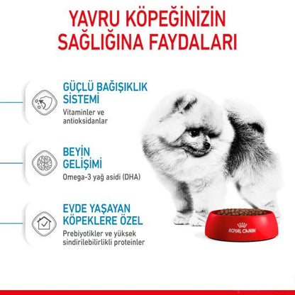 Royal Canin Mini İndoor Puppy Yavru Köpek Maması