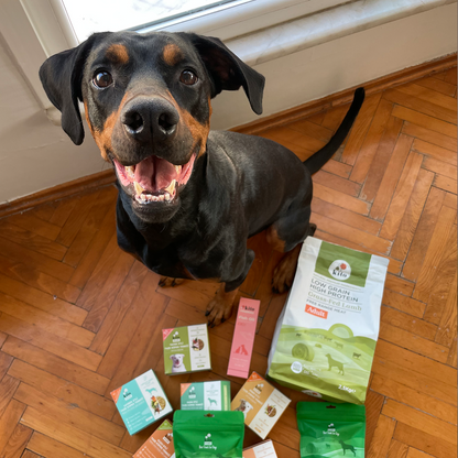 Yetişkin Köpek Maması