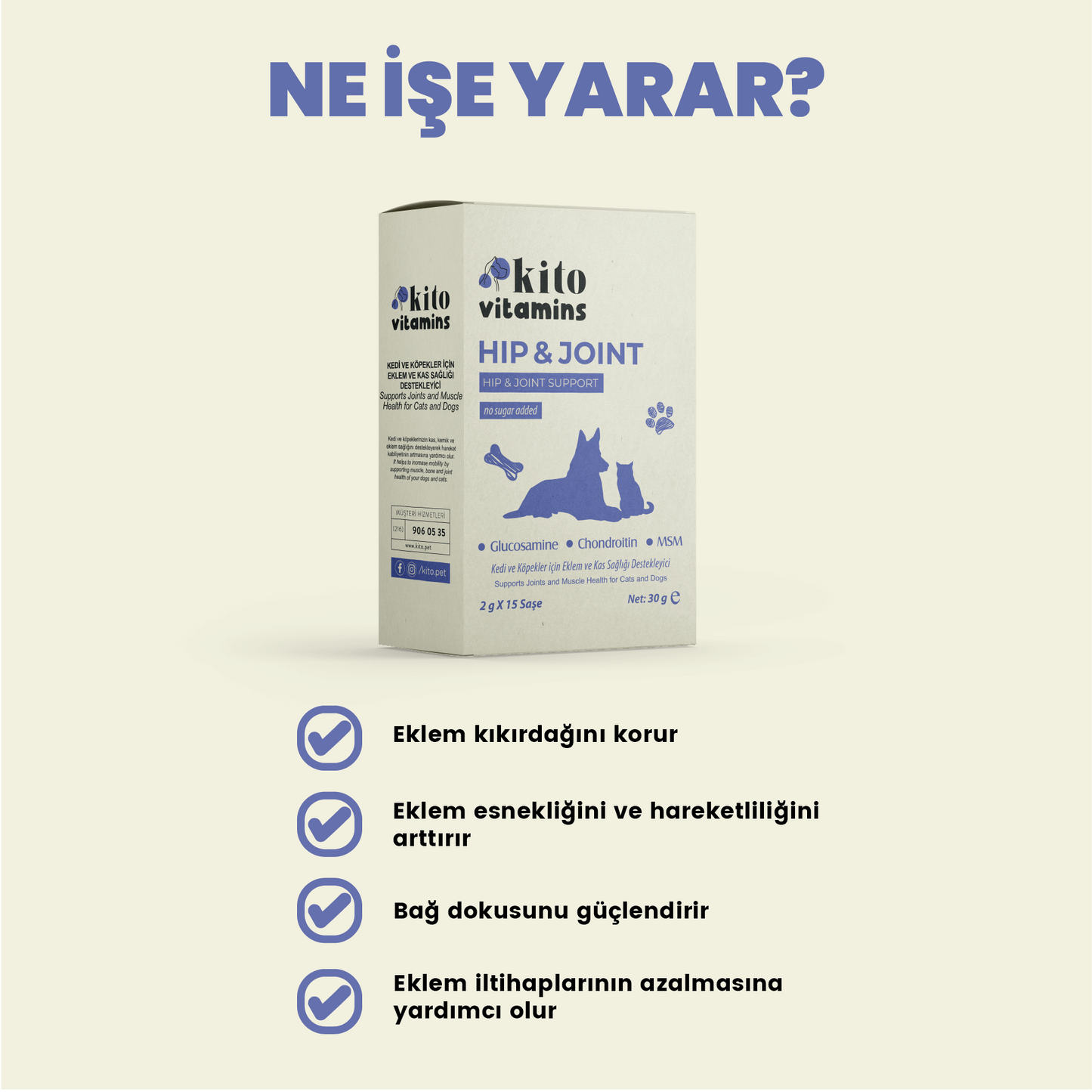 Hip & Joint Ne İşe Yarar