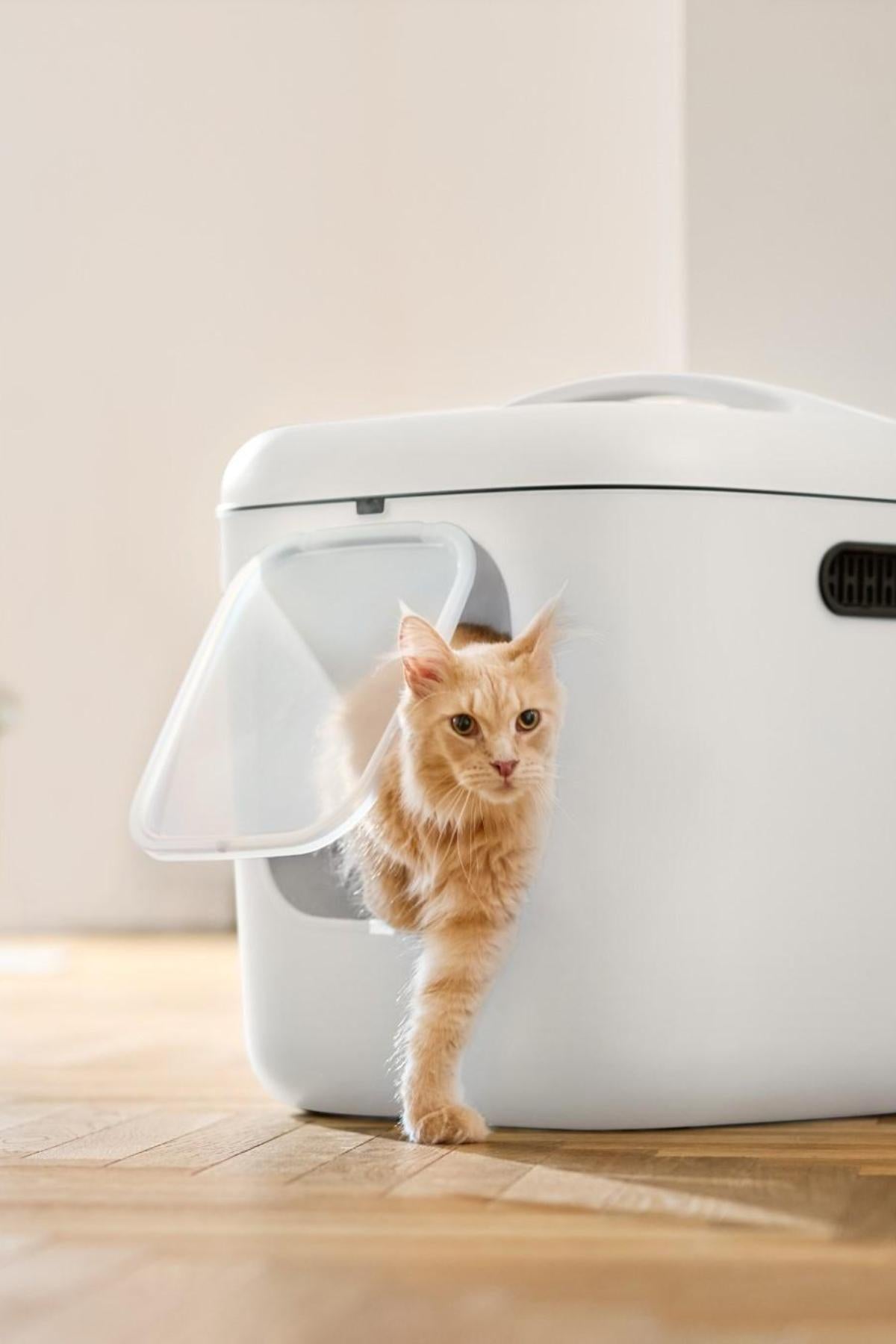 Biala XL Kedi Tuvaleti – Büyük Kediler ve Çok Kedili Evler İçin İdeal Krem  | SRC: Barcode: 7610859270436