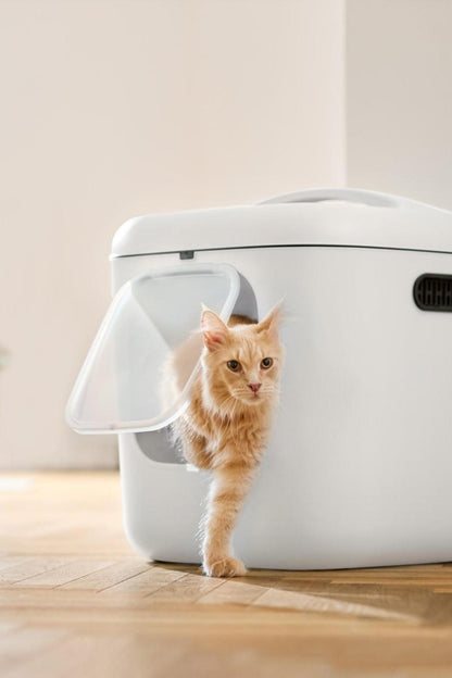 Biala XL Kedi Tuvaleti – Büyük Kediler ve Çok Kedili Evler İçin İdeal Krem  | SRC: Barcode: 7610859270436