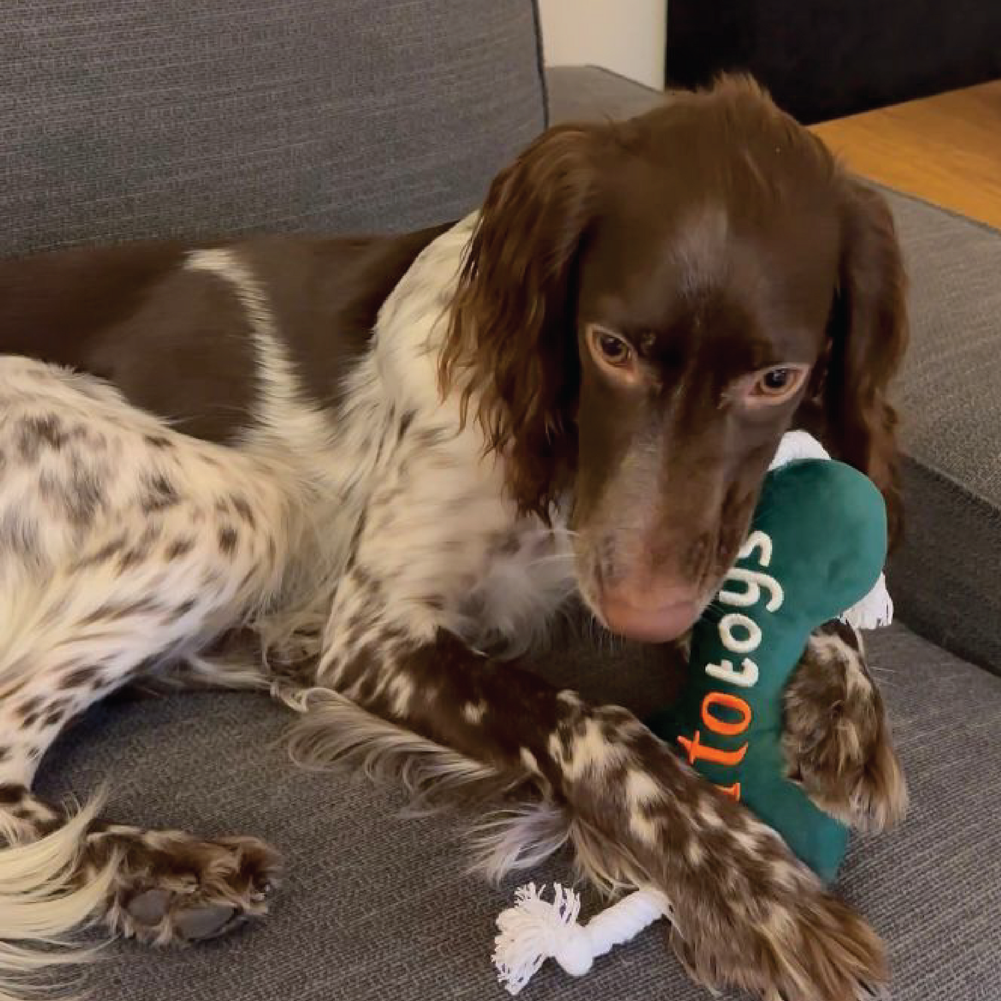 Kemik Peluş Köpek Oyuncağı