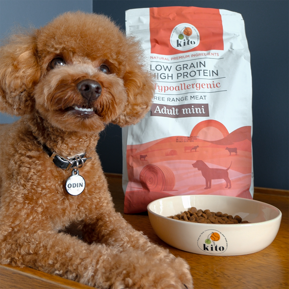 Yetişkin Mini Irk Köpek Maması