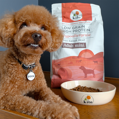 Yetişkin Mini Irk Köpek Maması