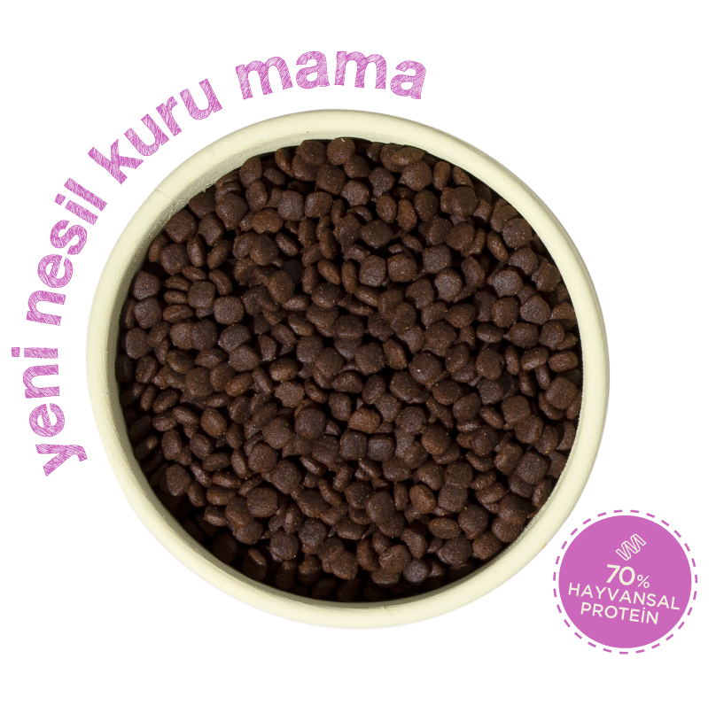 Yavru Köpek Maması
