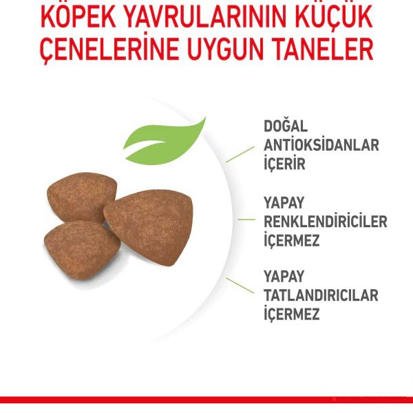 Royal Canin Mini İndoor Puppy Yavru Köpek Maması