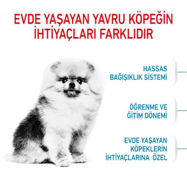 Royal Canin Mini İndoor Puppy Yavru Köpek Maması