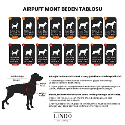 Lindo Dogs Air Puff Mango Köpek Montu