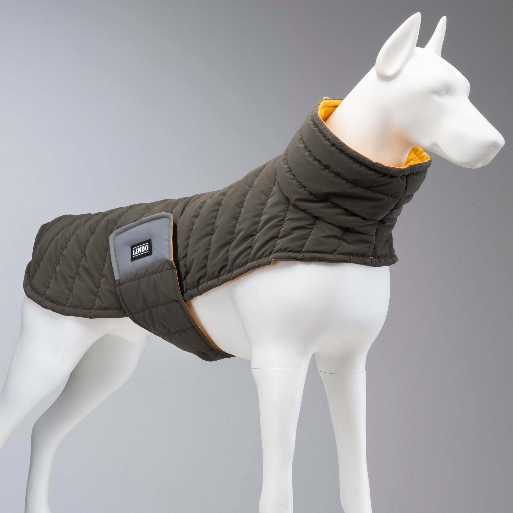 Lindo Dogs Air Puff Mango Köpek Montu