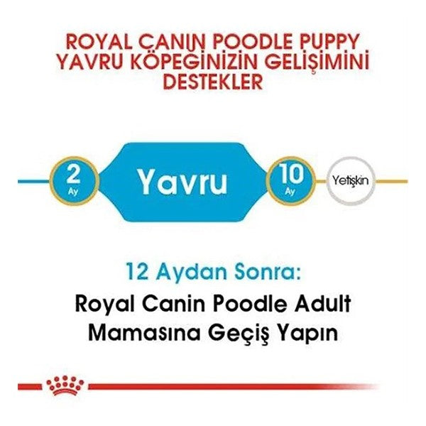 Royal Canin Poodle Junior Yavru Köpek Maması